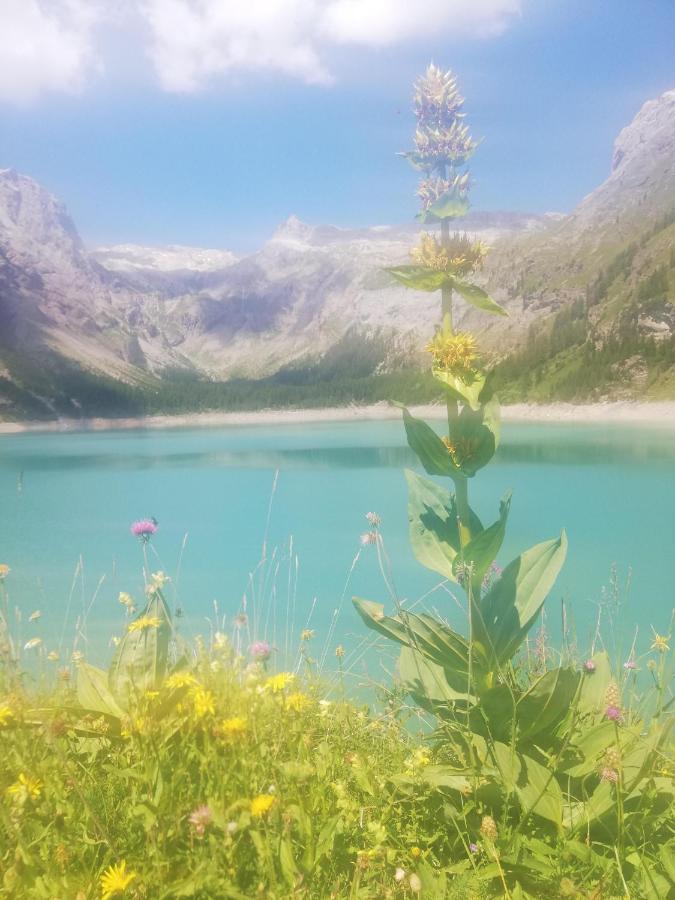 Chambres D'Hotes Pres De Verbier Volleges Zewnętrze zdjęcie